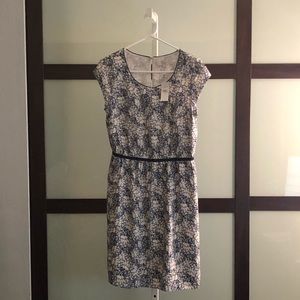 LOFT Navy and White cap sleeved floral dress